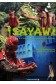 Sayaw. A la découverte de la danse aux Philippines.